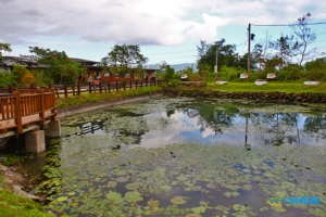 25.馬太鞍濕地生態園區 Matai-an Wetland Ecological Park