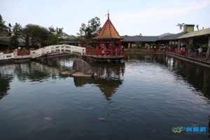 12.花蓮光復糖廠Hualien Guangfu Sugar factory