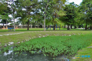 43.初英親水生態公園 Chuyin Riverbank Ecology Park