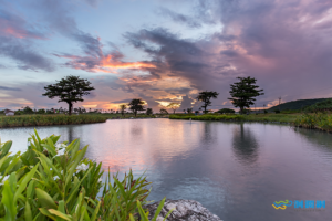45.台開心農場 Twhappyfarm
