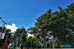 87.烏克麗麗公園 Ukulele Park