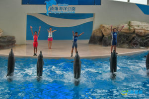 69.遠雄海洋公園 Farglory Ocean Park