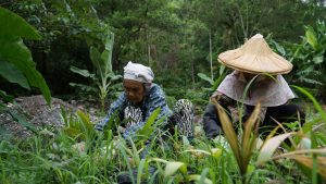 Mgaluk Dowmung 正在連結 銅門—銅門家族的故事
