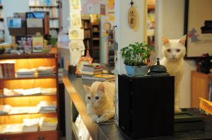 163.時光二手書店