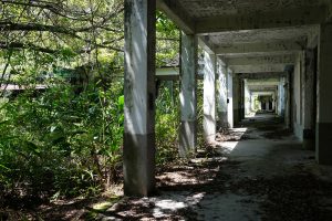 ♫177.花蓮菸葉廠