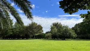 187.田埔生態公園