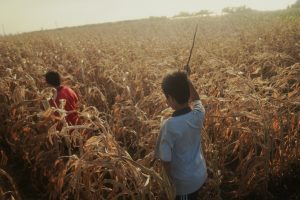 劇情片入圍C：躍入永恆的少年