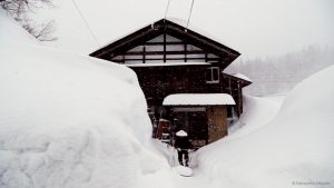 里山新潟：與雪同生