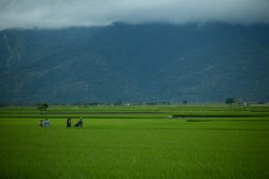 興揚電影有限公司《血拾人生》大愛劇集
