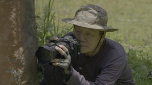 我在荒野做了一場夢