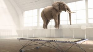 走走電影院 x momo mini 親子電影院｜一起動起來短片選