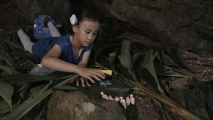 ㄟ跟你說個祕密： 斑馬與她的森林