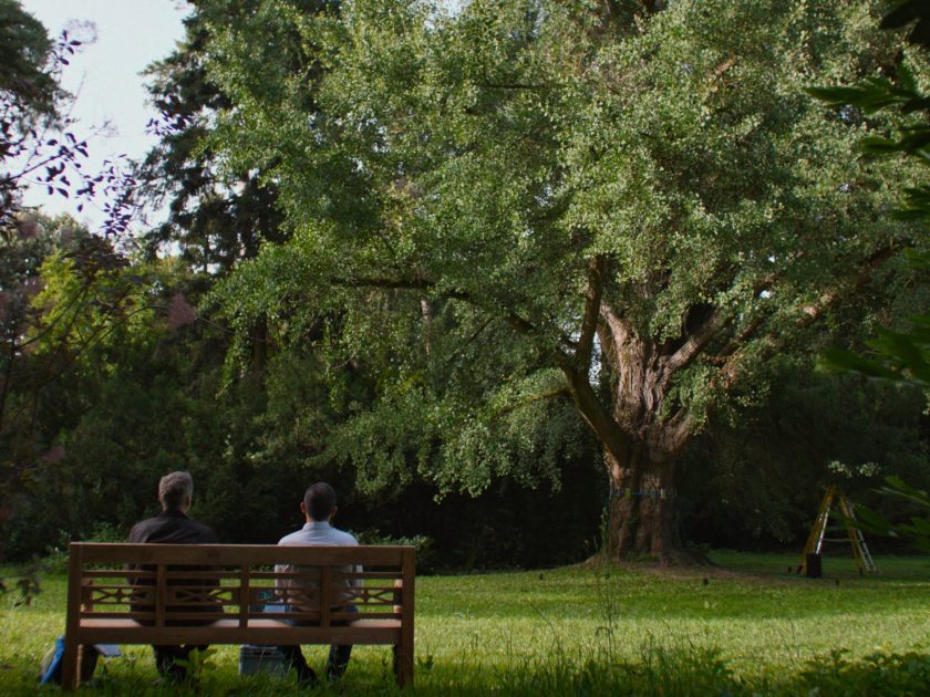 SILENT FRIEND © 2025 PANDORA FILM - SILENT FRIEND_GALATÉE FILMS - INFORG-M&M FILM - ARTE FRANCE CINÉMA_4 (1)